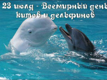 Онлайн-викторина «Всемирный день китов и дельфинов»