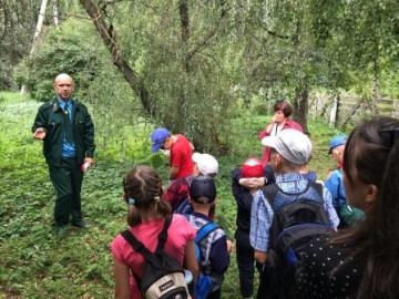 Кизнерский лес полон сказок и чудес